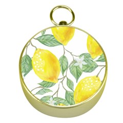 Vintage Lemons Gold Compasses by SomethingForEveryone