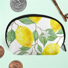 Vintage Lemons Accessory Pouch (large)