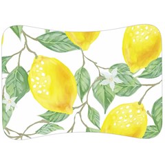 Vintage Lemons Velour Seat Head Rest Cushion