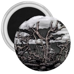 Dark Fantasy Landscape Poster 3  Magnets by dflcprintsclothing