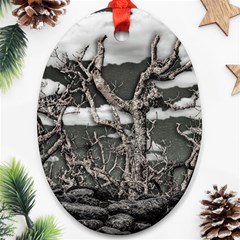 Dark Fantasy Landscape Poster Ornament (oval) by dflcprintsclothing