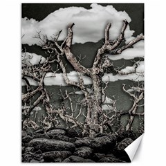 Dark Fantasy Landscape Poster Canvas 18  X 24  by dflcprintsclothing