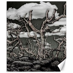 Dark Fantasy Landscape Poster Canvas 20  X 24  by dflcprintsclothing