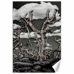 Dark Fantasy Landscape Poster Canvas 20  X 30  by dflcprintsclothing