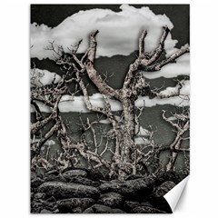 Dark Fantasy Landscape Poster Canvas 36  X 48  by dflcprintsclothing