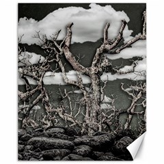 Dark Fantasy Landscape Poster Canvas 11  X 14  by dflcprintsclothing