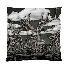 Dark Fantasy Landscape Poster Standard Cushion Case (two Sides)