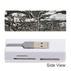 Dark Fantasy Landscape Poster Memory Card Reader (stick)