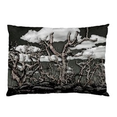 Dark Fantasy Landscape Poster Pillow Case (two Sides) by dflcprintsclothing