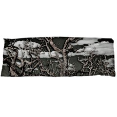 Dark Fantasy Landscape Poster Body Pillow Case (dakimakura)