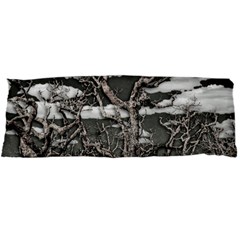 Dark Fantasy Landscape Poster Body Pillow Case Dakimakura (two Sides) by dflcprintsclothing