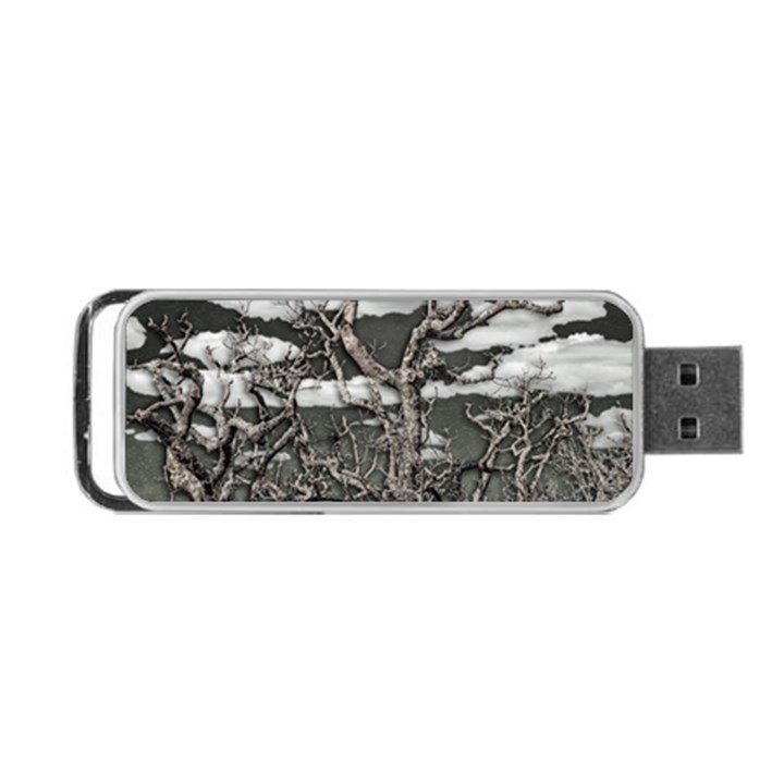 Dark Fantasy Landscape Poster Portable USB Flash (One Side)