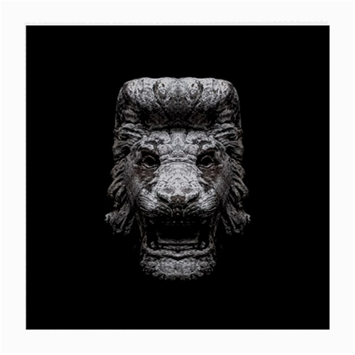 Creepy Lion Head Sculpture Artwork 2 Medium Glasses Cloth