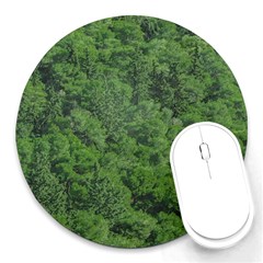 Leafy Forest Landscape Photo Round Mousepads by dflcprintsclothing