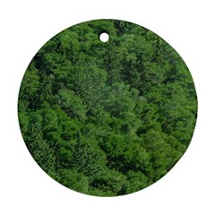 Leafy Forest Landscape Photo Ornament (round) by dflcprintsclothing