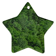 Leafy Forest Landscape Photo Ornament (star) by dflcprintsclothing