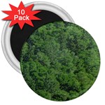 Leafy Forest Landscape Photo 3  Magnets (10 pack)  Front