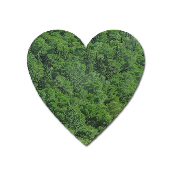 Leafy Forest Landscape Photo Heart Magnet