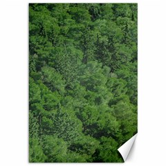 Leafy Forest Landscape Photo Canvas 12  X 18  by dflcprintsclothing