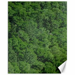 Leafy Forest Landscape Photo Canvas 16  X 20  by dflcprintsclothing