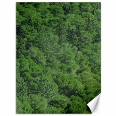 Leafy Forest Landscape Photo Canvas 36  X 48 