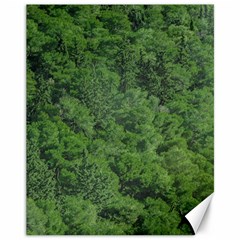 Leafy Forest Landscape Photo Canvas 11  X 14  by dflcprintsclothing