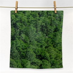 Leafy Forest Landscape Photo Face Towel by dflcprintsclothing