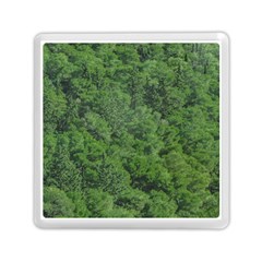 Leafy Forest Landscape Photo Memory Card Reader (square) by dflcprintsclothing