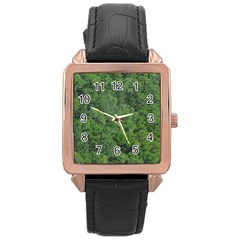 Leafy Forest Landscape Photo Rose Gold Leather Watch  by dflcprintsclothing