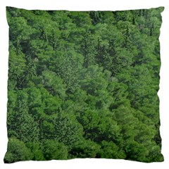 Leafy Forest Landscape Photo Standard Flano Cushion Case (two Sides) by dflcprintsclothing