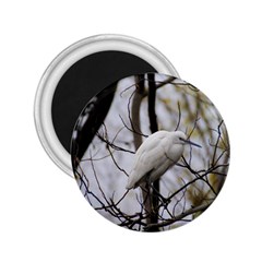 White Egret 2 25  Magnets