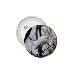 White Egret 1 75  Buttons by SomethingForEveryone