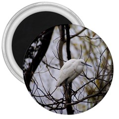 White Egret 3  Magnets by SomethingForEveryone