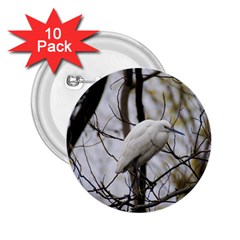 White Egret 2 25  Buttons (10 Pack)  by SomethingForEveryone