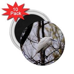 White Egret 2 25  Magnets (10 Pack)  by SomethingForEveryone