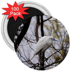 White Egret 3  Magnets (100 Pack) by SomethingForEveryone