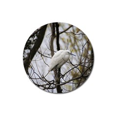 White Egret Magnet 3  (round) by SomethingForEveryone