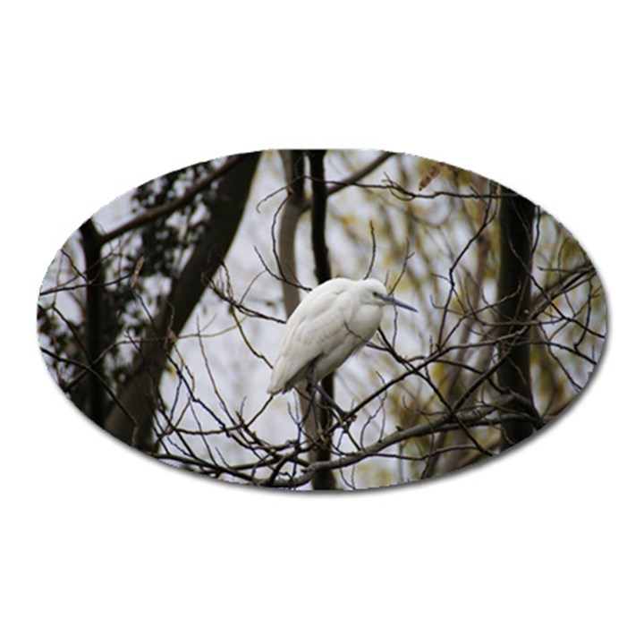 White Egret Oval Magnet