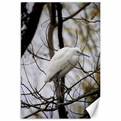 White Egret Canvas 12  X 18 