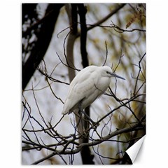 White Egret Canvas 18  X 24 