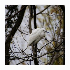 White Egret Medium Glasses Cloth (2 Sides)