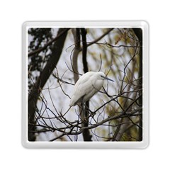 White Egret Memory Card Reader (square)