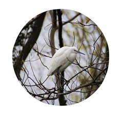 White Egret Mini Round Pill Box by SomethingForEveryone