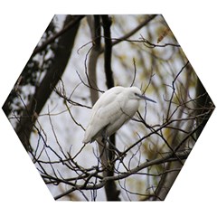 White Egret Wooden Puzzle Hexagon by SomethingForEveryone