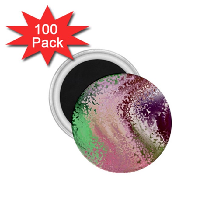 Fraction Space 1 1.75  Magnets (100 pack) 