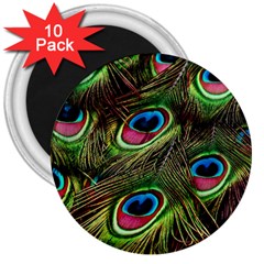 Peacock-feathers-plumage-pattern 3  Magnets (10 Pack)  by Sapixe