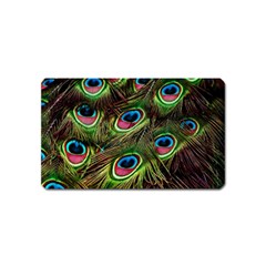 Peacock-feathers-plumage-pattern Magnet (name Card) by Sapixe