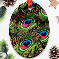 Peacock-feathers-plumage-pattern Oval Ornament (two Sides) by Sapixe