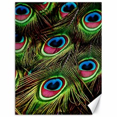 Peacock-feathers-plumage-pattern Canvas 18  X 24  by Sapixe