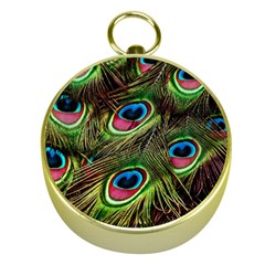 Peacock-feathers-plumage-pattern Gold Compasses by Sapixe